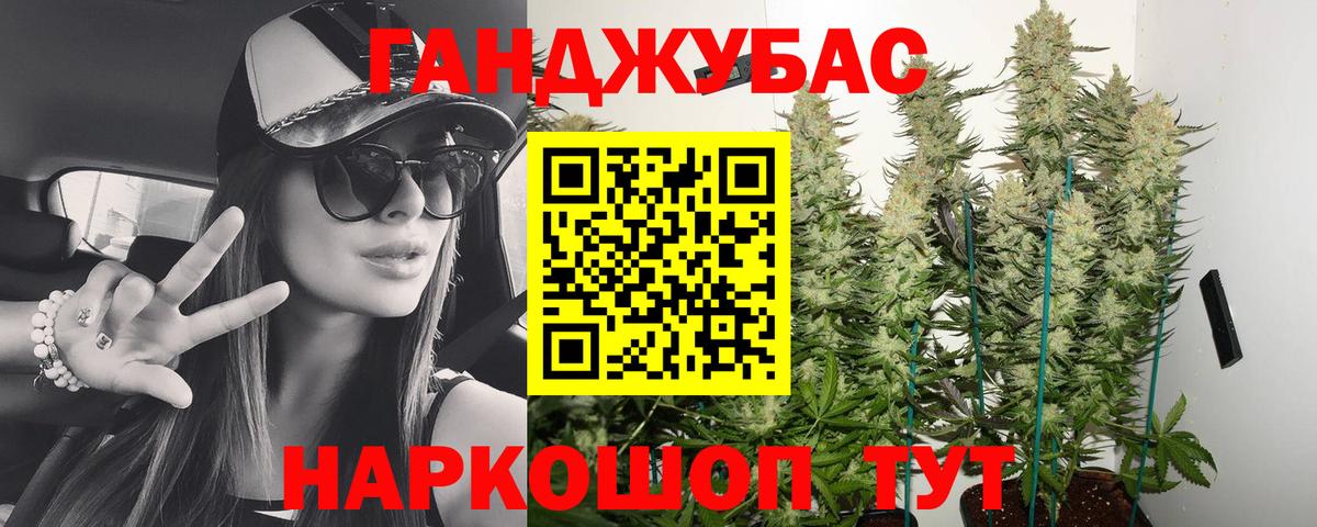 Бошки Шишки планчик  Вход с VPN  Чехов  Бошки марихуана ГИДРОПОН  Конопля Bruce Banner 